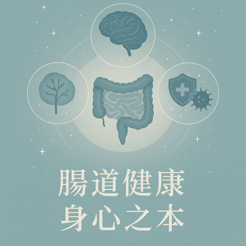 腸道健康，是全身健康的核心樞紐
