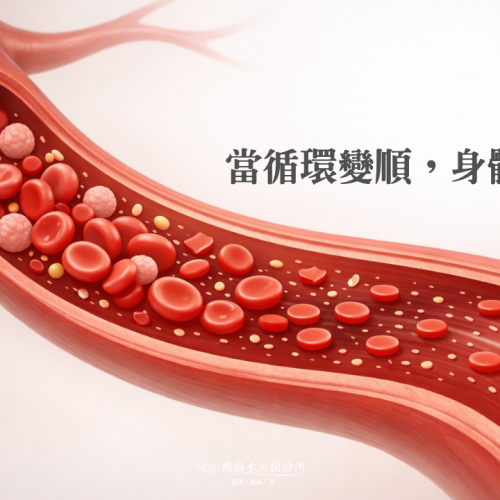 血液淨化可以清除膽固醇嗎？一次了解循環管理與血脂的關係