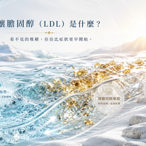 你的膽固醇從哪裡來？破解壞膽固醇的3大迷思