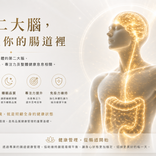 腸道是第二個大腦？認識腦腸軸與健康管理的重要關鍵